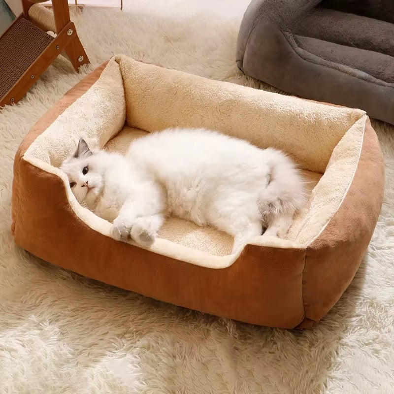 Bed for Cats Pet Products Cushions Kitten Goods Accessories Dog All Houses Supplies Things Accessory Habitats Basket House Beds