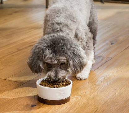 Chicken & Salmon Grain-Free Puppy Kibble