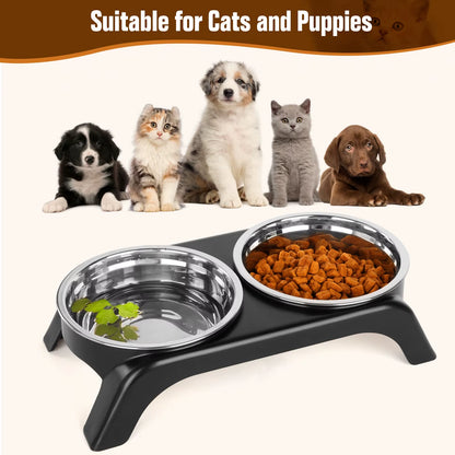 Elevated Cat Bowls, Dog Bowl,Stainless Steel Raised Cat Food Water Bowl Set with ABS anti Slip Stand for Indoor Cats