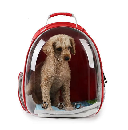 Capsule Bubble Pet Backpack Small Cat Pet Carrier Backpack Transparent Animal Puppy Kitty Bird Breathable Pet Carrier for Travel