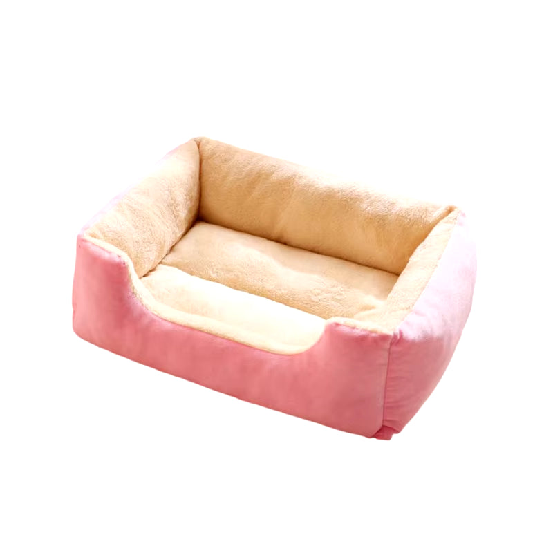 Bed for Cats Pet Products Cushions Kitten Goods Accessories Dog All Houses Supplies Things Accessory Habitats Basket House Beds