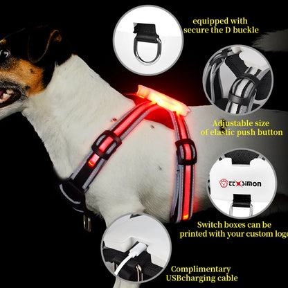 LED Dog Harness Pet Rechargeable Adjustable Flashing Waterproof Collar Night Anti-Lost Dog Light Harness Luminous Dog Collar