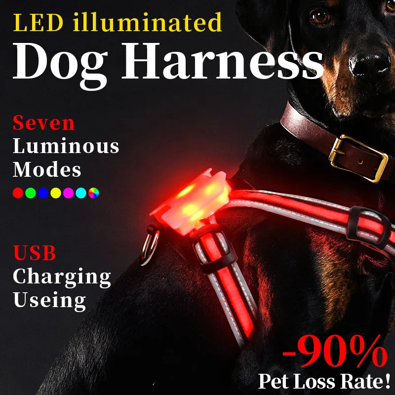 LED Dog Harness Pet Rechargeable Adjustable Flashing Waterproof Collar Night Anti-Lost Dog Light Harness Luminous Dog Collar