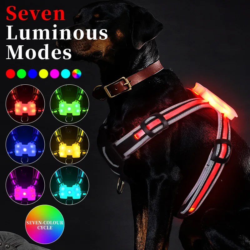 LED Dog Harness Pet Rechargeable Adjustable Flashing Waterproof Collar Night Anti-Lost Dog Light Harness Luminous Dog Collar