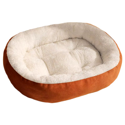 Bed for Cats Pet Products Cushions Kitten Goods Accessories Dog All Houses Supplies Things Accessory Habitats Basket House Beds